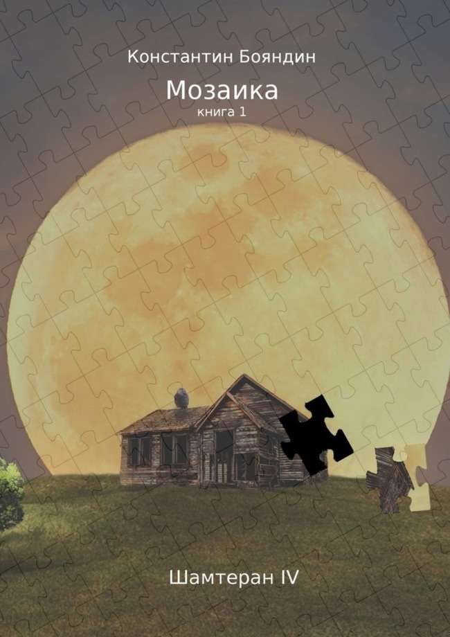 Мозаика. Книга первая