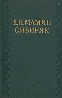 Переводчица на приисках