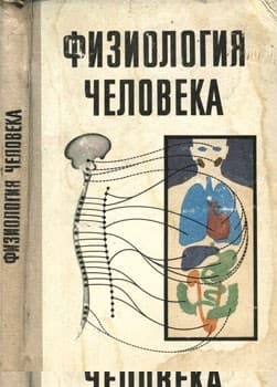 Физиология человека