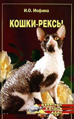Кошки - рексы