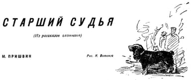 Старший судья