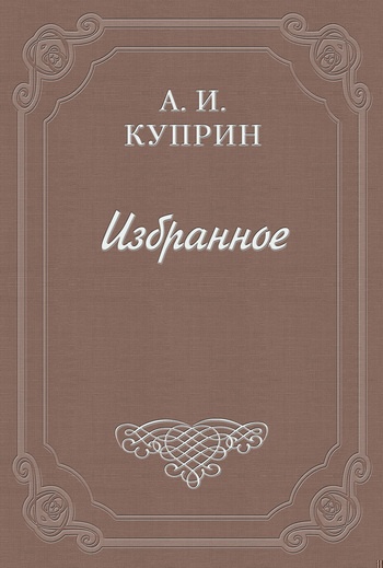 Медведи