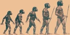 История людей