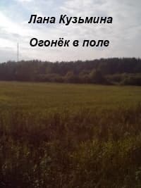 Огонёк в поле (СИ)