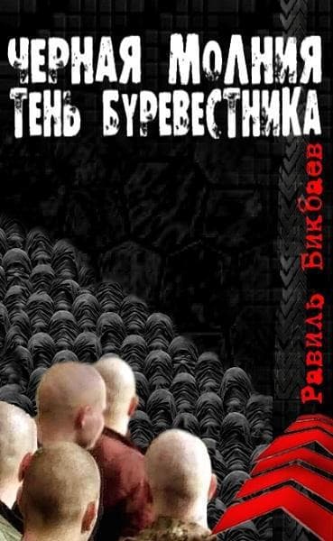 Черная молния. Тень буревестника (СИ)