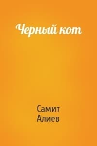 Черный кот