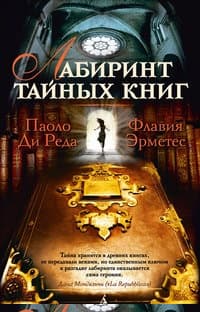 Лабиринт тайных книг