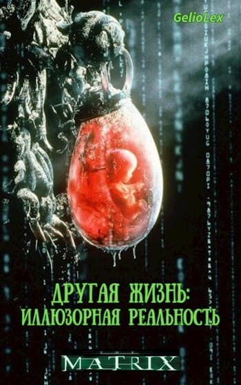 Другая жизнь: Иллюзорная реальность (СИ)