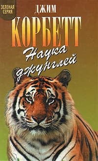 Храмовый тигр