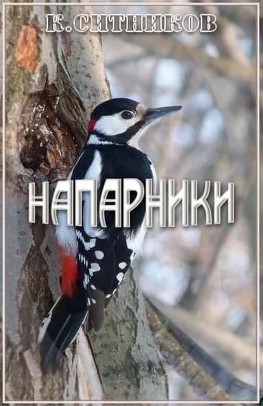 Напарники