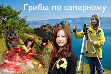Грибы по-саперному (СИ)