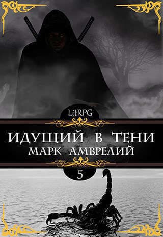 Идущий в тени 5 (СИ)