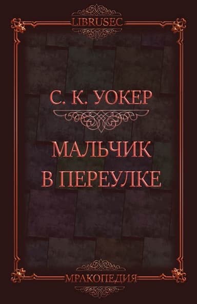 Мальчик в переулке (ЛП)