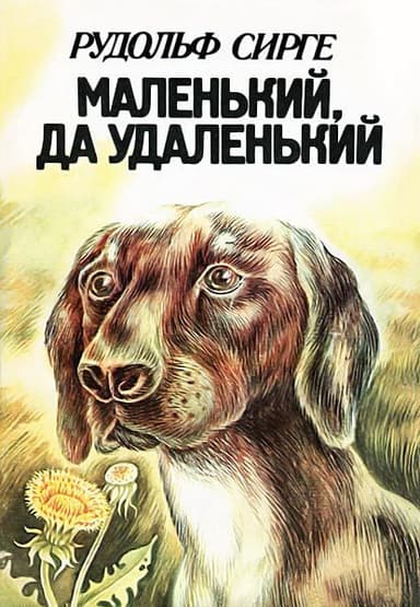Маленький, да удаленький