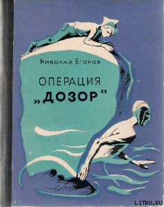 Операция «Дозор»