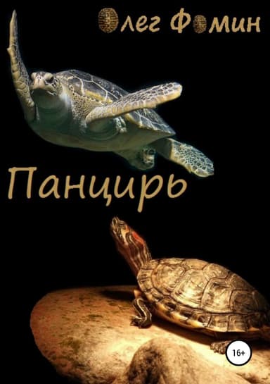 Панцирь