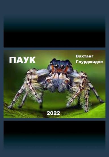 Паук (СИ)