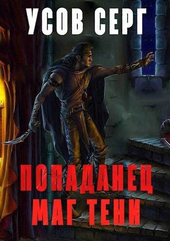 Попаданец. Маг Тени. Книга 3 (СИ)