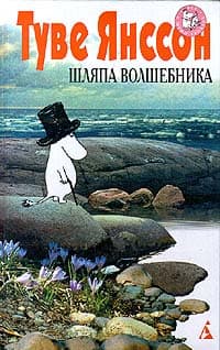 Шляпа волшебника
