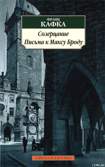 Созерцание
