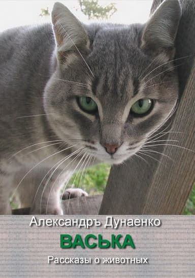 Васька (СИ)