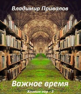 Важное время (СИ)