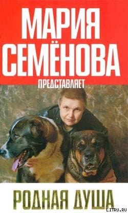Жучок и Волчок